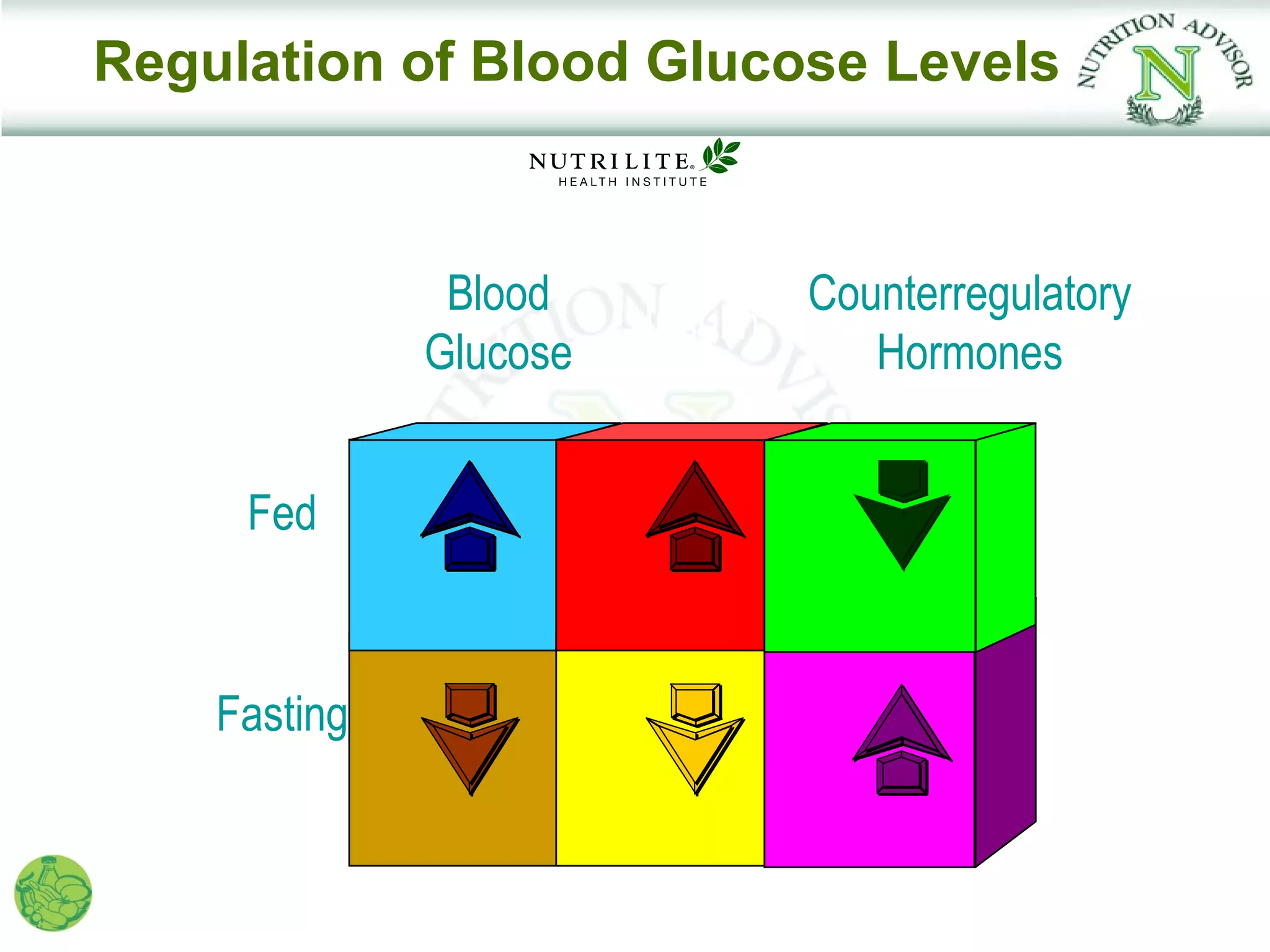 Regulation of Blood Glucose Levels



               Blood            Counterregulatory
                        Insulin
              Glucose              Hormones


     Fed



    Fasting
 
