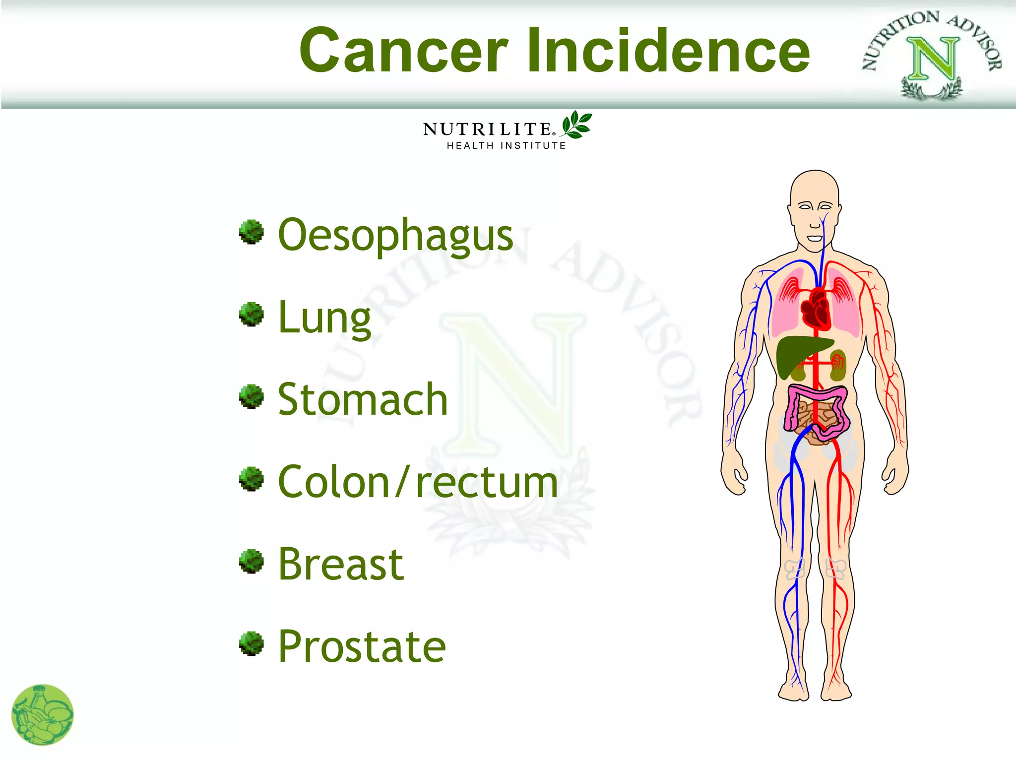 Cancer Incidence

Oesophagus
Lung
Stomach
Colon/rectum
Breast
Prostate
 