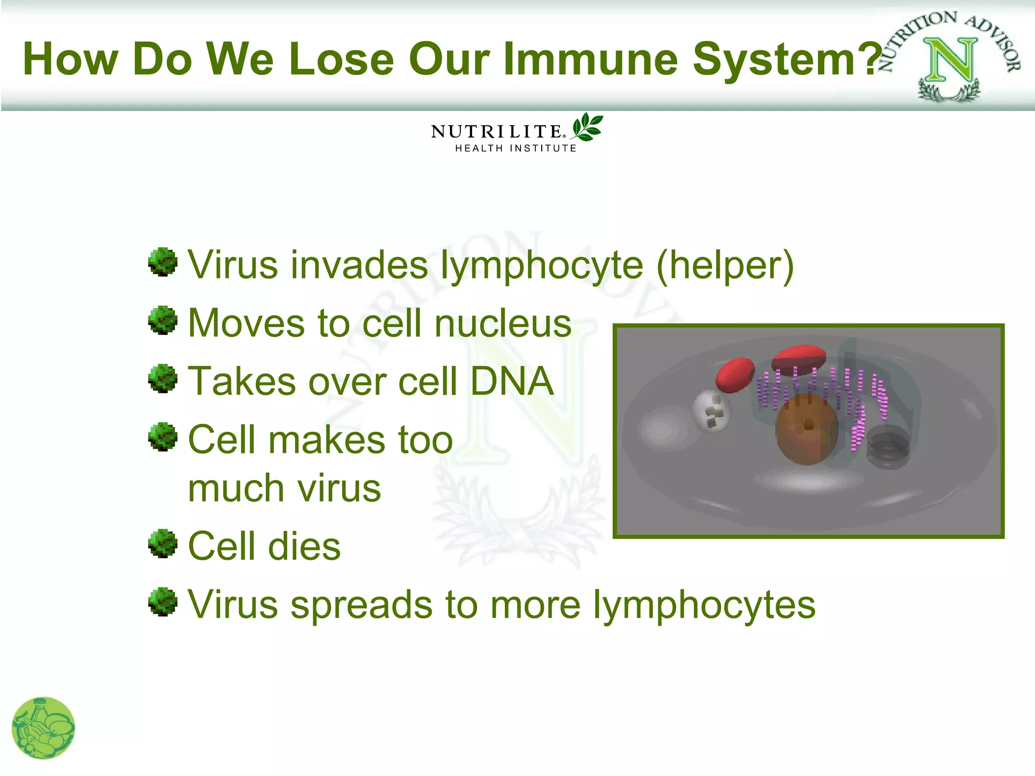 How Do We Lose Our Immune System?



      Virus invades lymphocyte (helper)
      Moves to cell nucleus
      Takes over cell DNA
      Cell makes too
      much virus
      Cell dies
      Virus spreads to more lymphocytes
 
