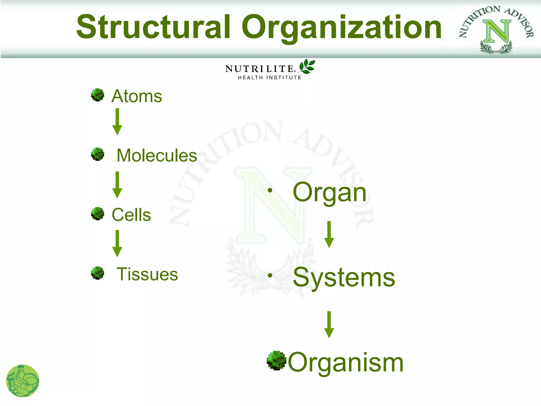Structural Organization
  Atoms


  Molecules
              •   Organ
  Cells


  Tissues     •   Systems


                  Organism
 