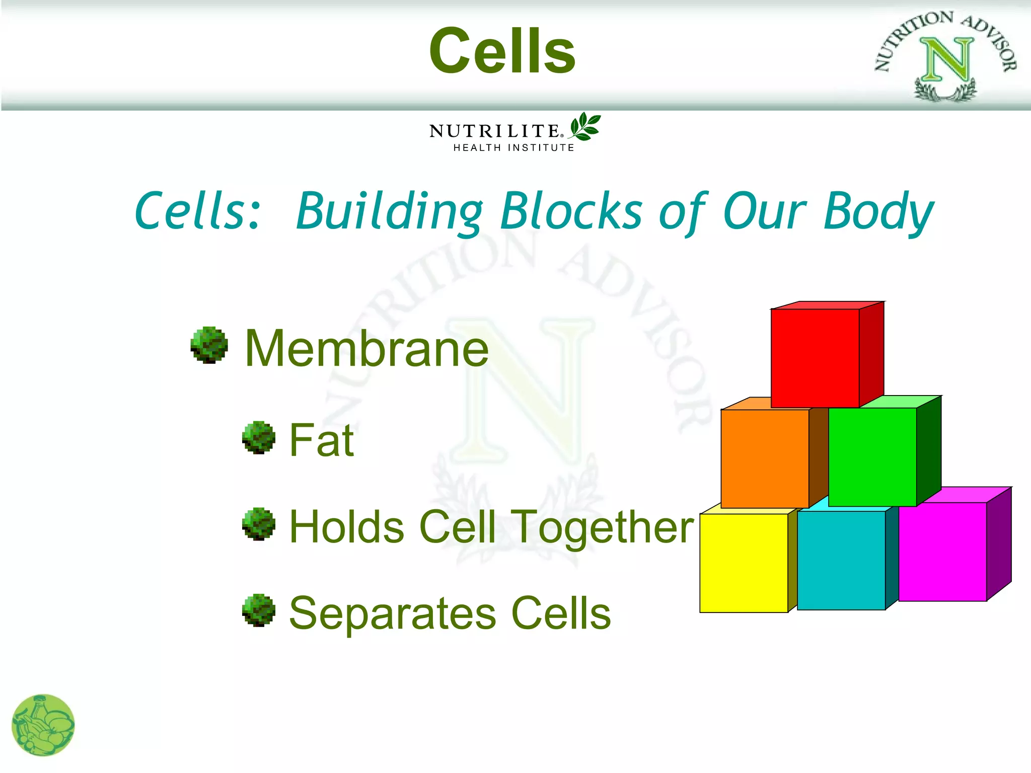 Cells

Cells: Building Blocks of Our Body

    Membrane
      Fat
      Holds Cell Together
      Separates Cells
 