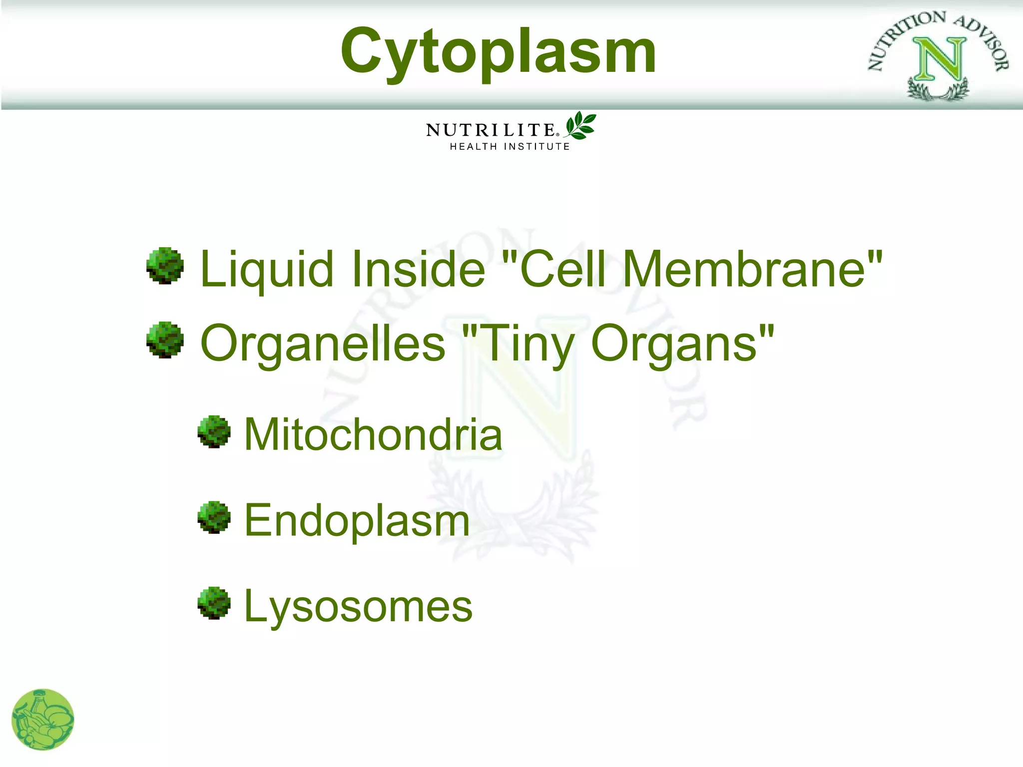 Cytoplasm


Liquid Inside "Cell Membrane"
Organelles "Tiny Organs"
 Mitochondria
 Endoplasm
 Lysosomes
 