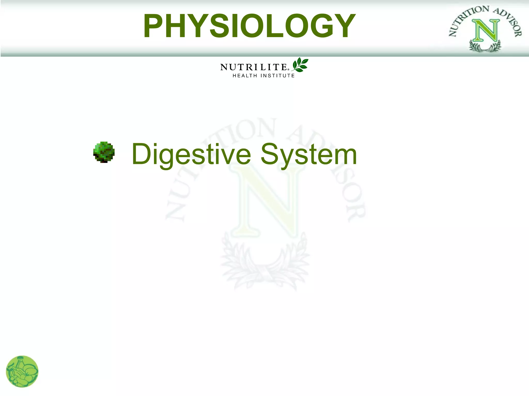 PHYSIOLOGY


Digestive System
 