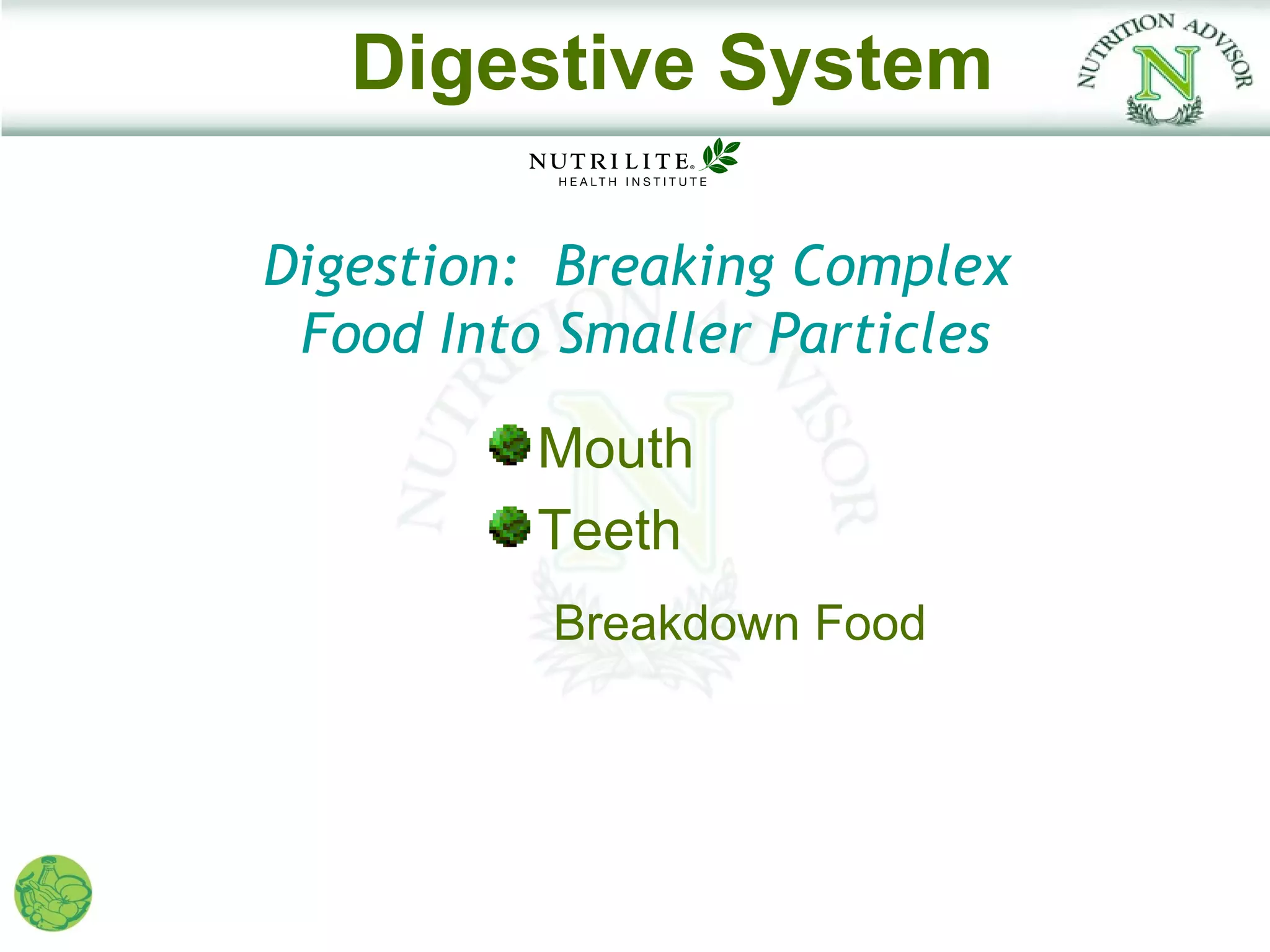 Digestive System

Digestion: Breaking Complex
 Food Into Smaller Particles

          Mouth
          Teeth
          Breakdown Food
 