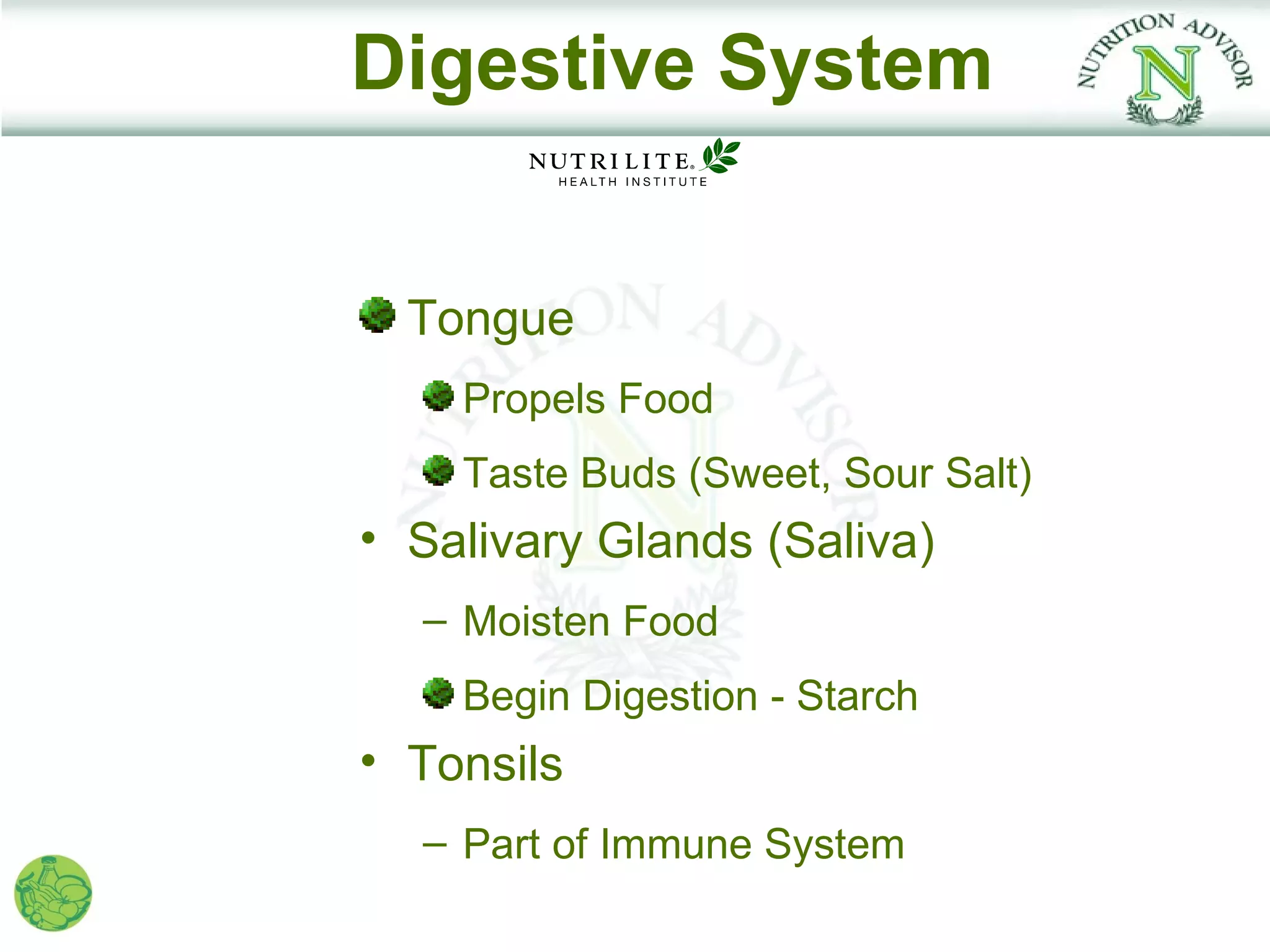 Digestive System


  Tongue
    Propels Food
    Taste Buds (Sweet, Sour Salt)
• Salivary Glands (Saliva)
  – Moisten Food
    Begin Digestion - Starch
• Tonsils
  – Part of Immune System
 