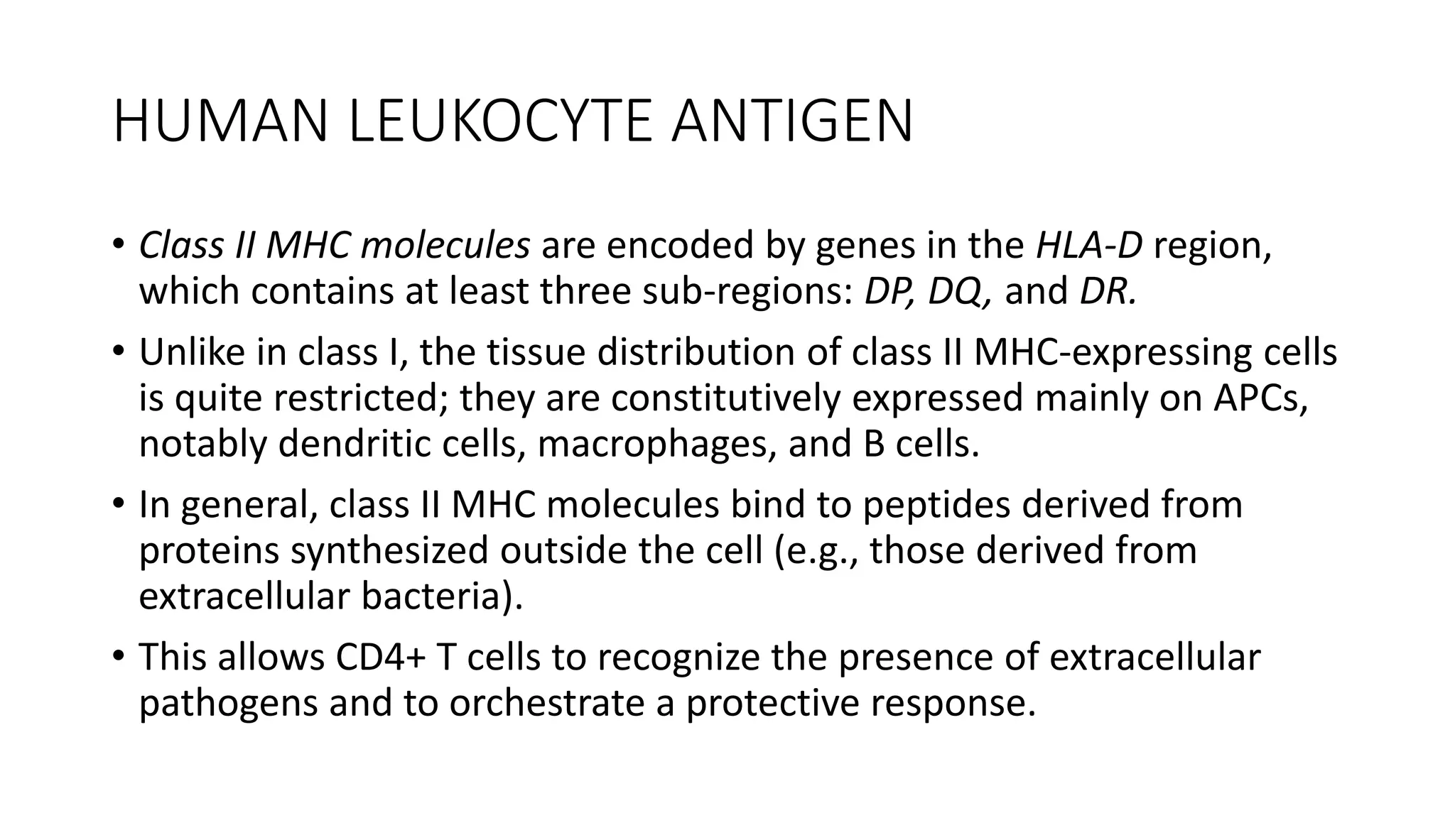 HUMAN LEUKOCYTE ANTIGEN
• Class II MHC molecules are encoded by genes in the HLA-D region,
which contains at least three sub-regions: DP, DQ, and DR.
• Unlike in class I, the tissue distribution of class II MHC-expressing cells
is quite restricted; they are constitutively expressed mainly on APCs,
notably dendritic cells, macrophages, and B cells.
• In general, class II MHC molecules bind to peptides derived from
proteins synthesized outside the cell (e.g., those derived from
extracellular bacteria).
• This allows CD4+ T cells to recognize the presence of extracellular
pathogens and to orchestrate a protective response.
 