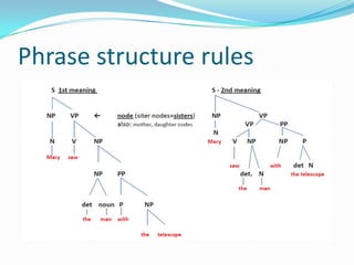 Phrase structure rules
 