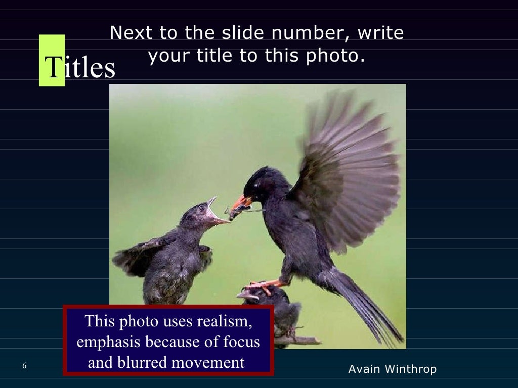 Principles Of Photography I