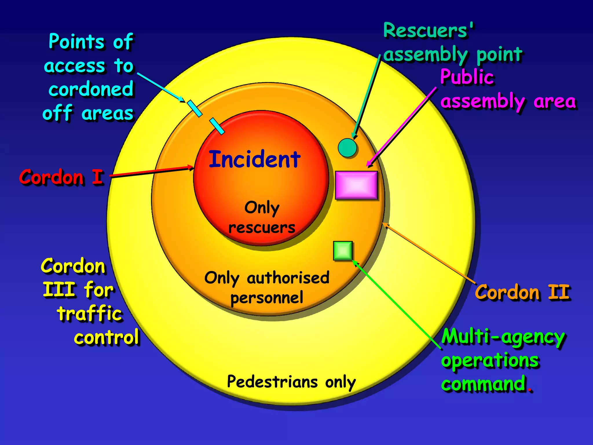 Broad professional training
in emergency management
Professional experience
and training
Disciplinary training
(e.g. bachelor's degree)
Common
culture
Common
language
Common
objectives
 