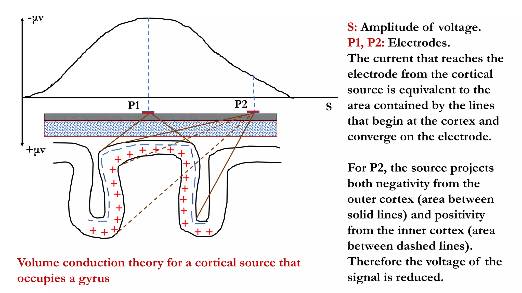 Principles of polarity in eeg | PPTX