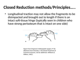 principles of pop.pptx principles of pop | PPTX