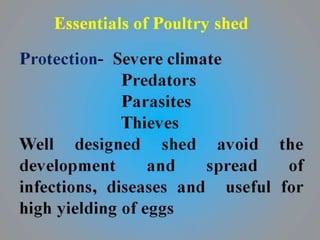 Principles of poultry | PPTX - Basic Principles Of Poultry Health Monitoring