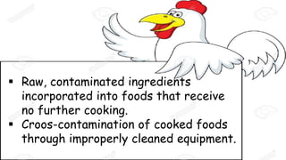  Raw, contaminated ingredients
incorporated into foods that receive
no further cooking.
 Croos-contamination of cooked foods
through improperly cleaned equipment.
 