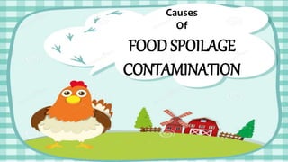 Causes
Of
FOOD SPOILAGE
CONTAMINATION
 