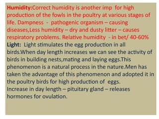 principles of poultry housing and housing system.pptx