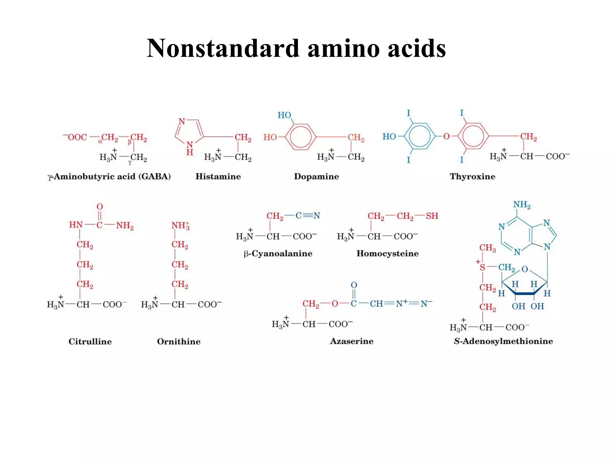 Nonstandard amino acids
 