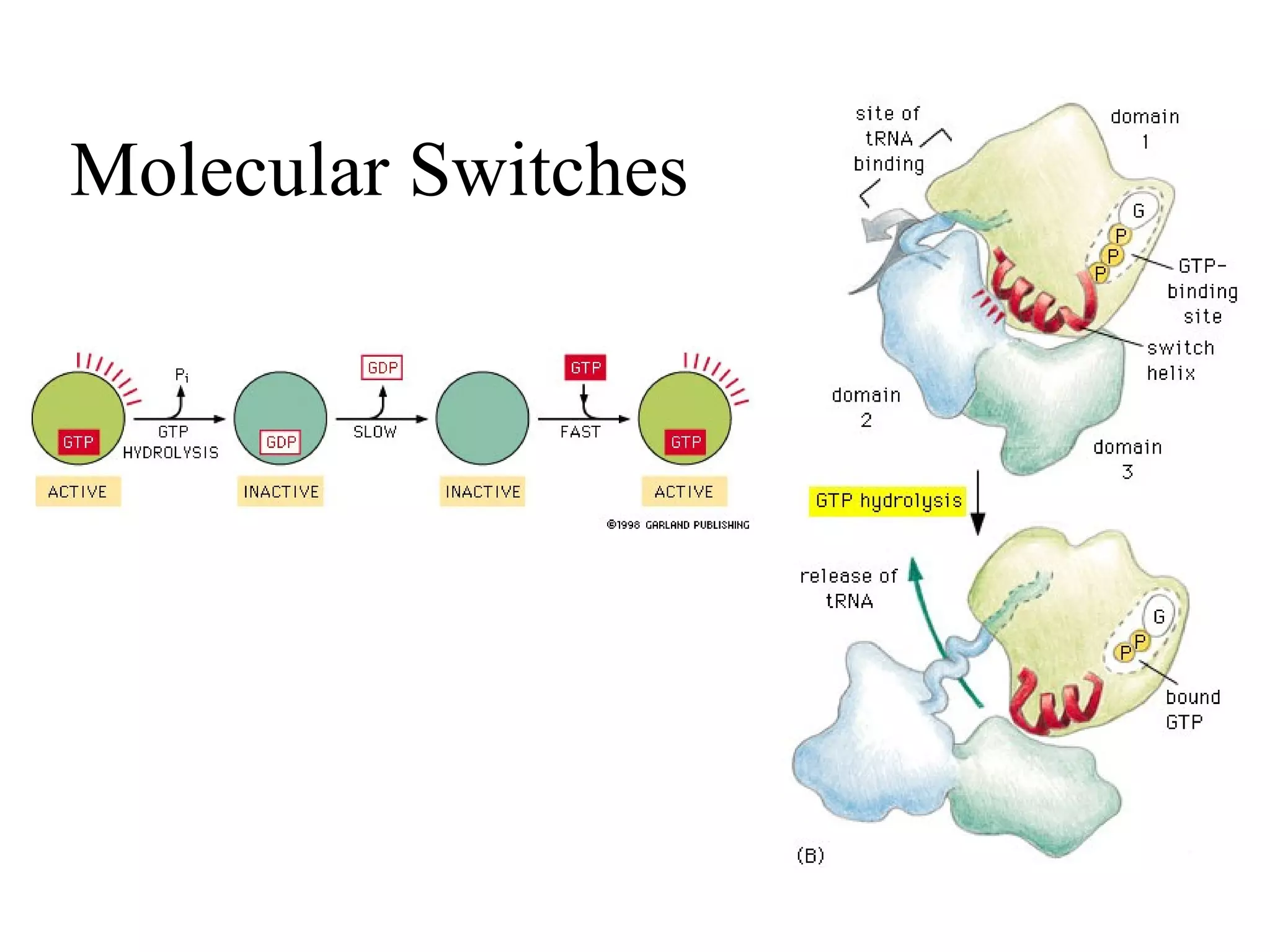 Molecular Switches
 