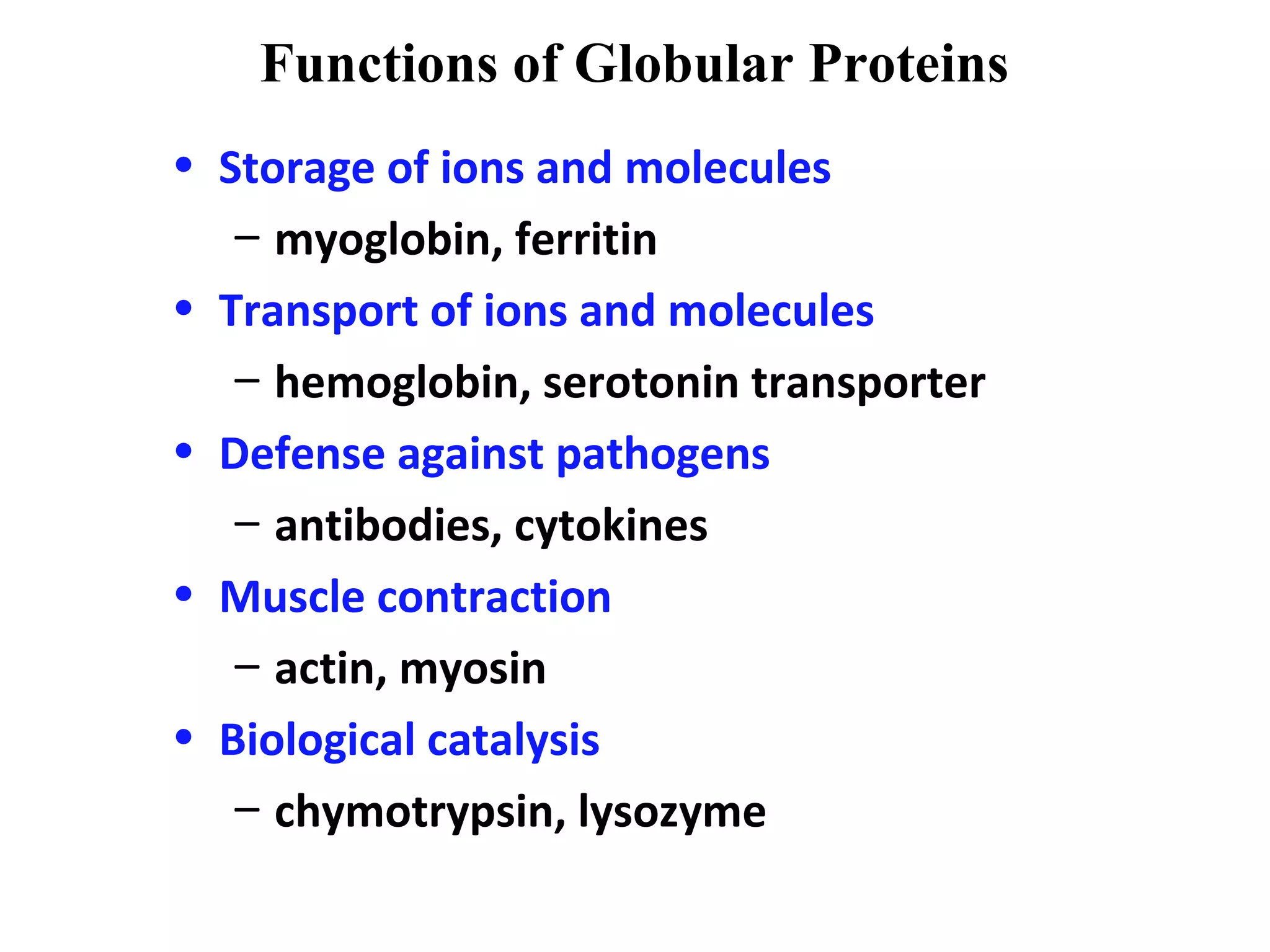 Functions of Globular Proteins
• Storage of ions and molecules
– myoglobin, ferritin
• Transport of ions and molecules
– hemoglobin, serotonin transporter
• Defense against pathogens
– antibodies, cytokines
• Muscle contraction
– actin, myosin
• Biological catalysis
– chymotrypsin, lysozyme
 