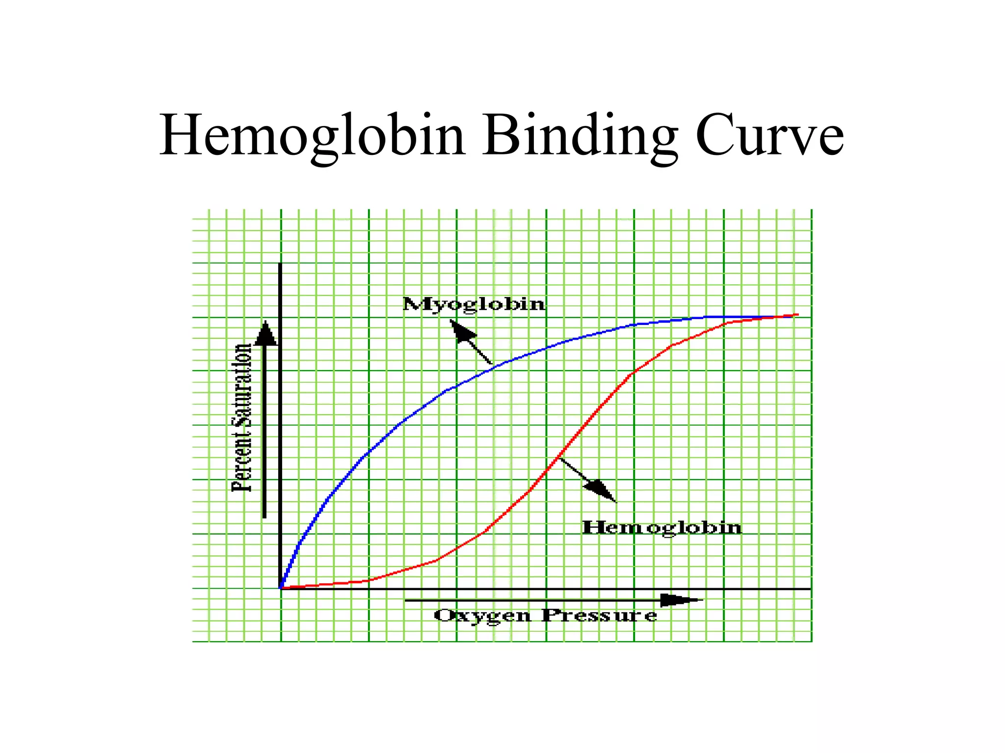 Hemoglobin Binding Curve
 