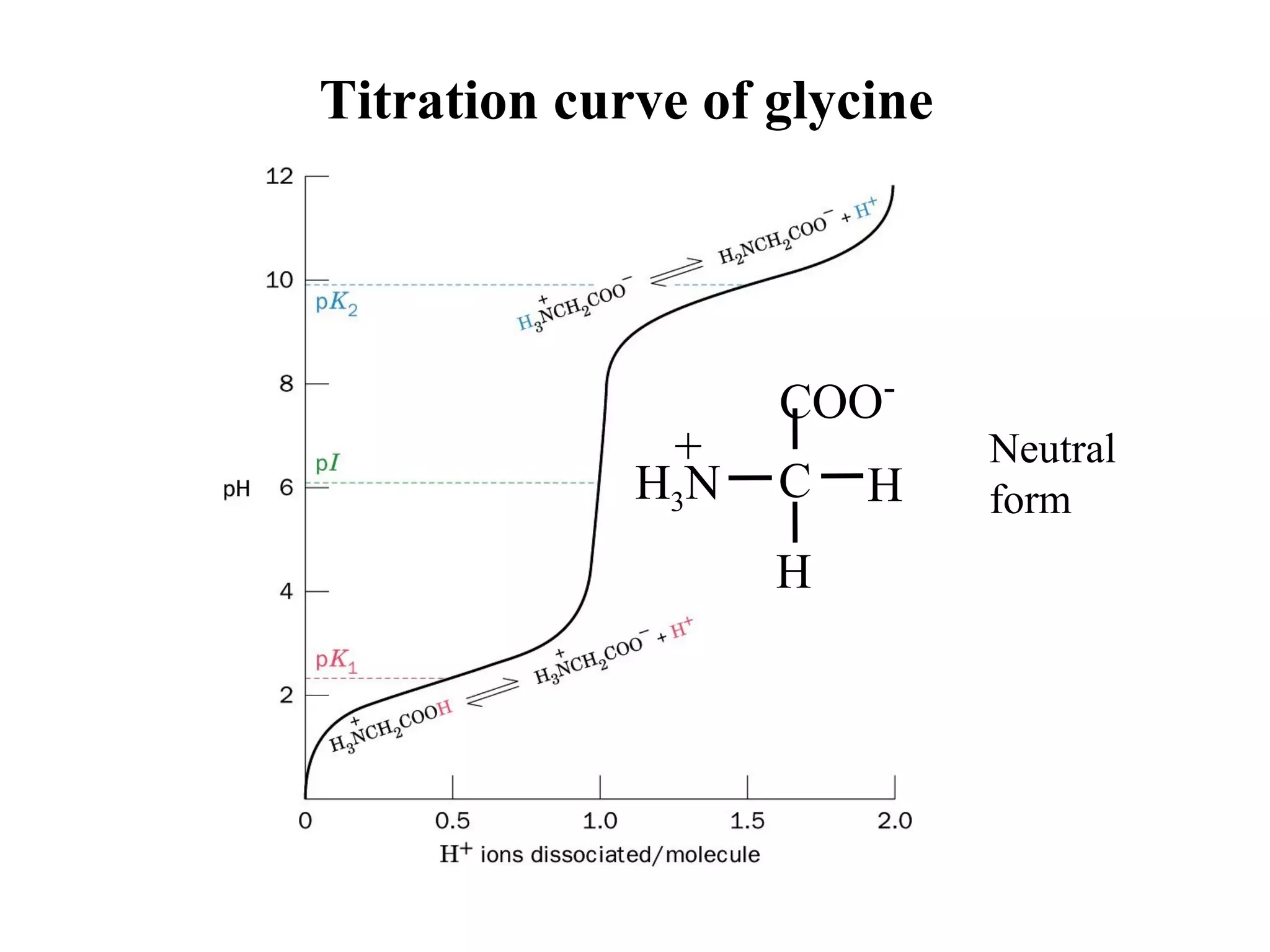 Titration curve of glycine
H
C H
COO-
H3N
+ Neutral
form
 