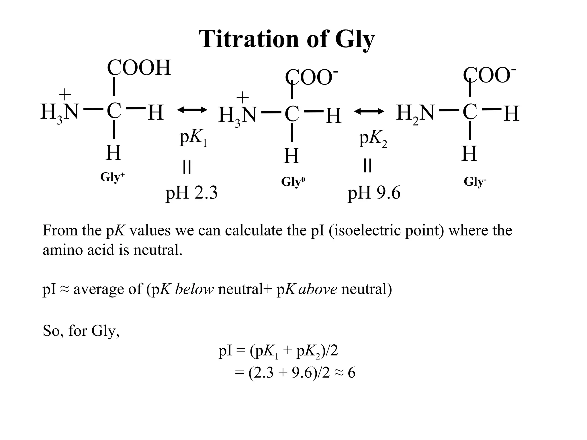 Titration of Gly
H
C H
COO-
H3N
+
H
C H
COO-
H2N
H
C H
COOH
H3N
+
pK1 pK2
Gly0Gly+
Gly-
pH 2.3 pH 9.6
From the pK values we can calculate the pI (isoelectric point) where the
amino acid is neutral.
pI ≈ average of (pK below neutral+ pKabove neutral)
So, for Gly,
pI = (pK1 + pK2)/2
= (2.3 + 9.6)/2 ≈ 6
 