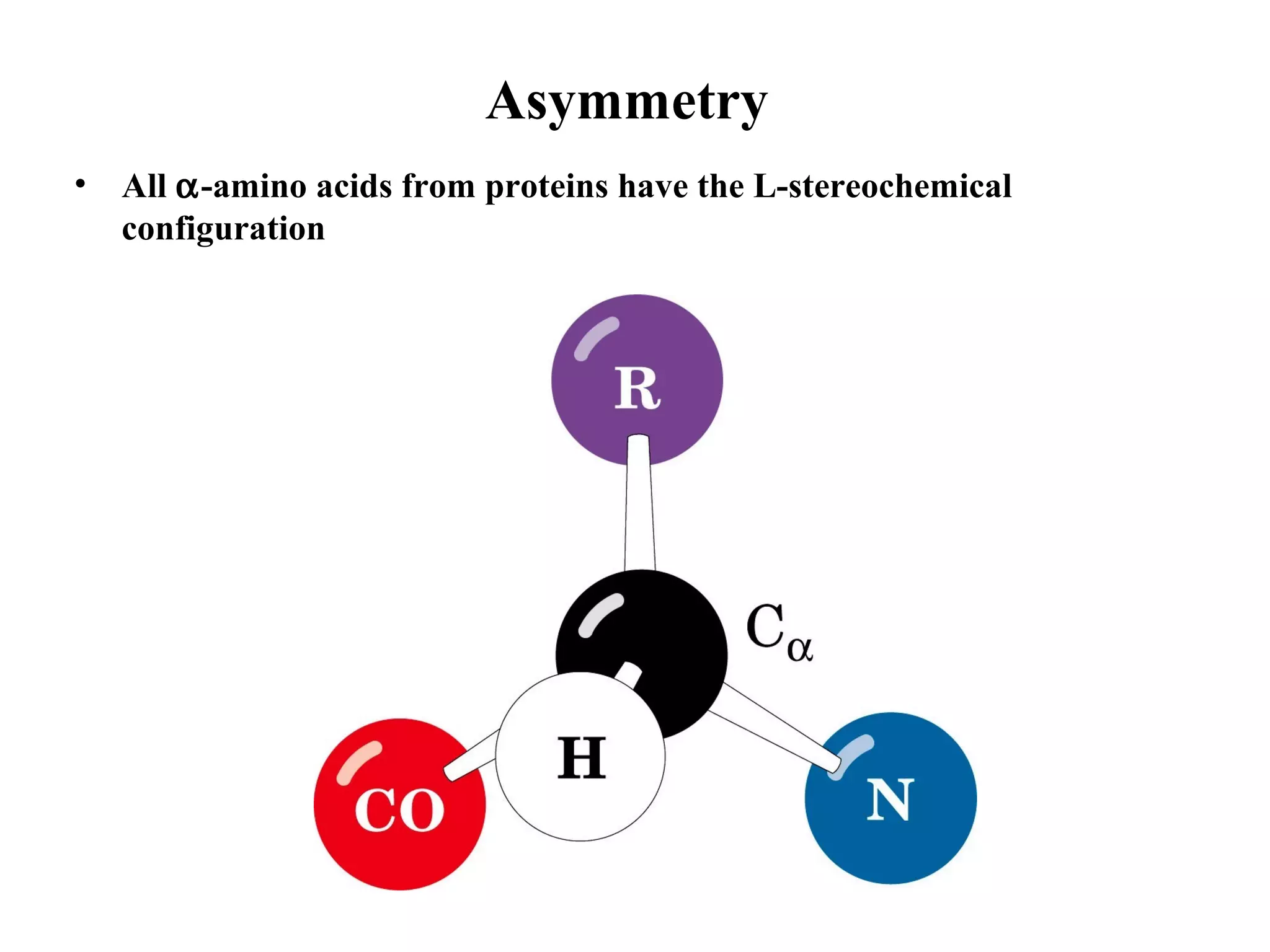 Asymmetry
• All α-amino acids from proteins have the L-stereochemical
configuration
 