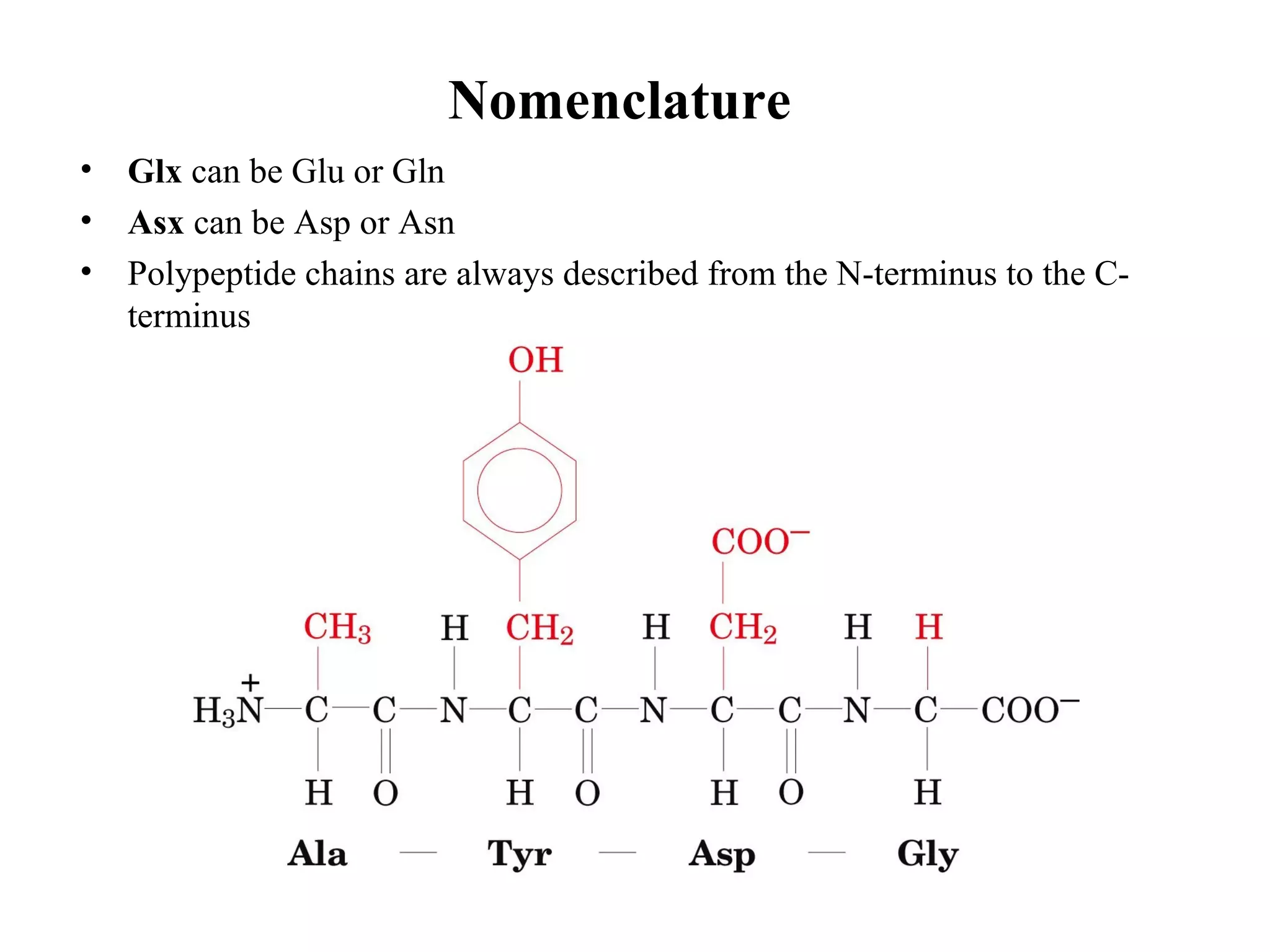 Nomenclature
• Glx can be Glu or Gln
• Asx can be Asp or Asn
• Polypeptide chains are always described from the N-terminus to the C-
terminus
 