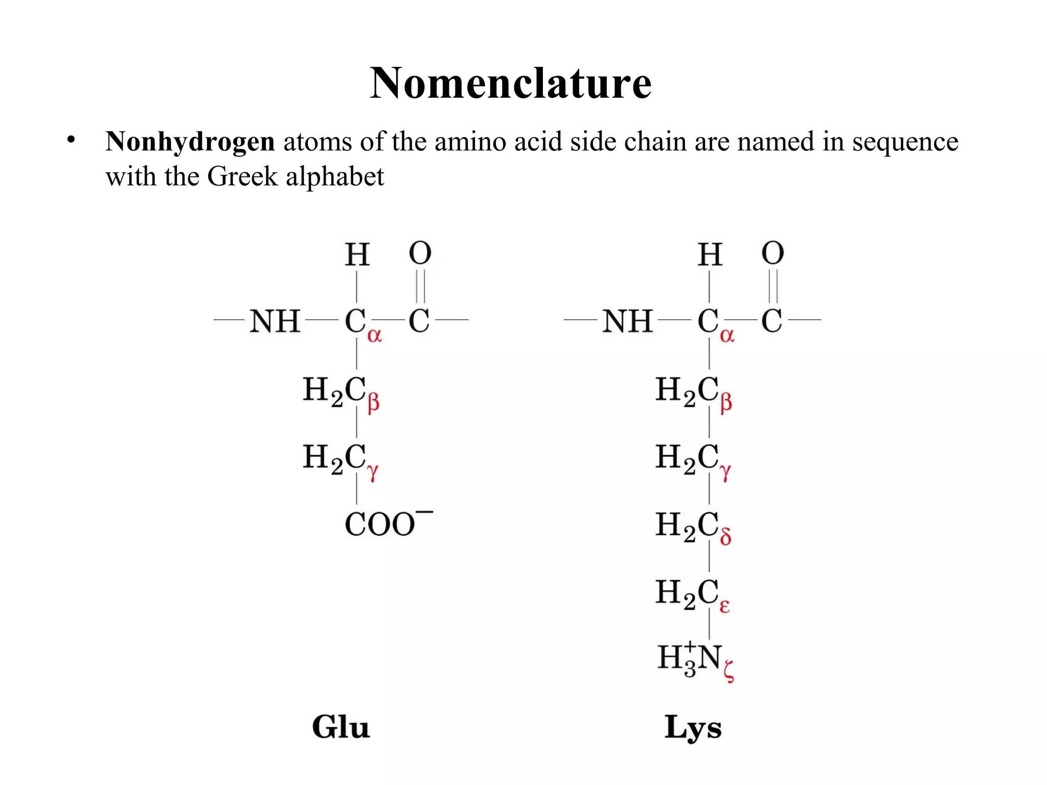 Nomenclature
• Nonhydrogen atoms of the amino acid side chain are named in sequence
with the Greek alphabet
 