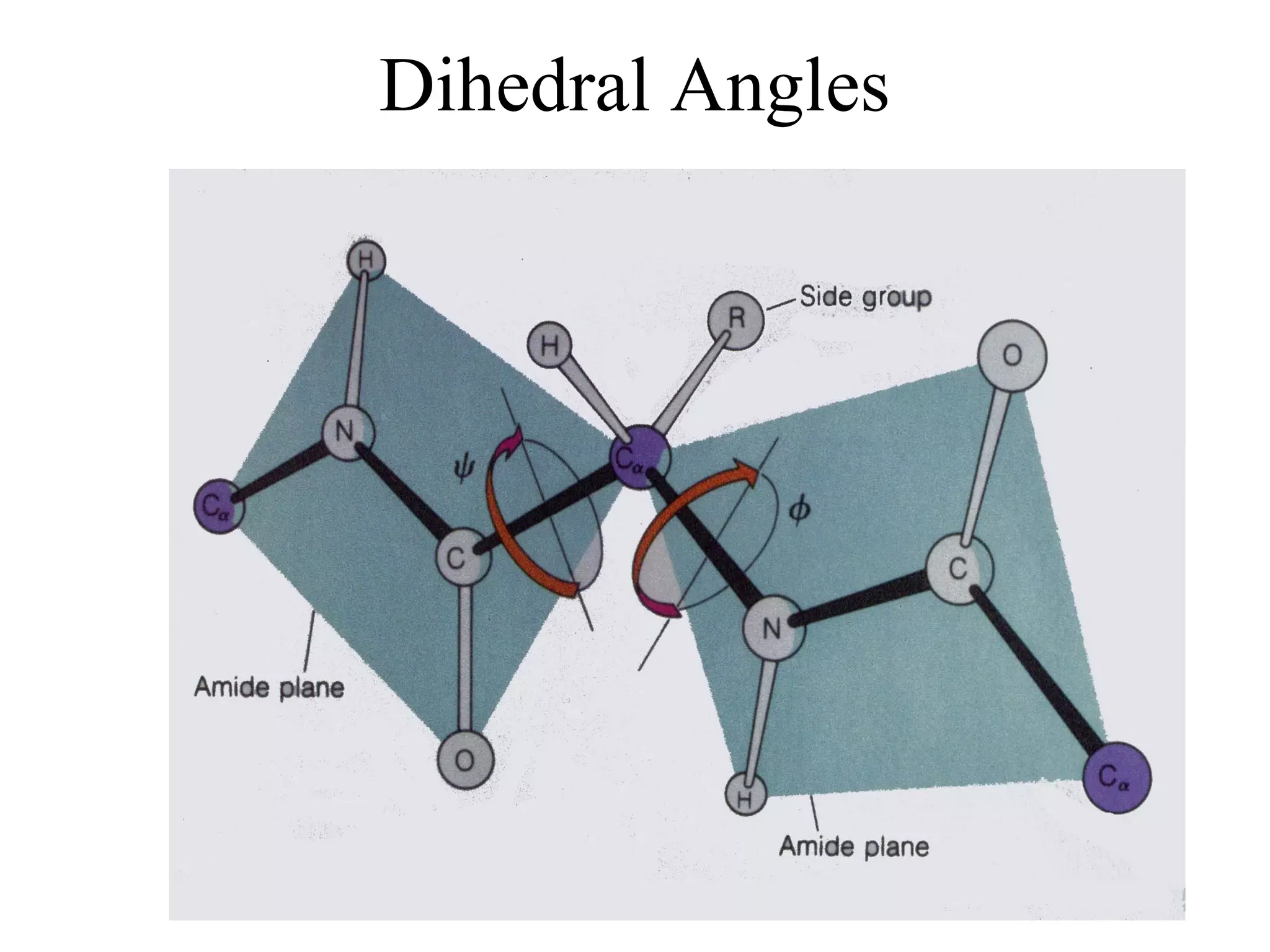Dihedral Angles
 