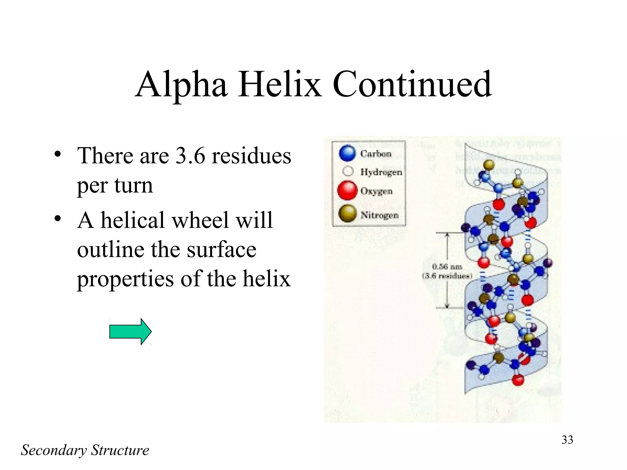 33
Alpha Helix Continued
• There are 3.6 residues
per turn
• A helical wheel will
outline the surface
properties of the helix
Secondary Structure
 