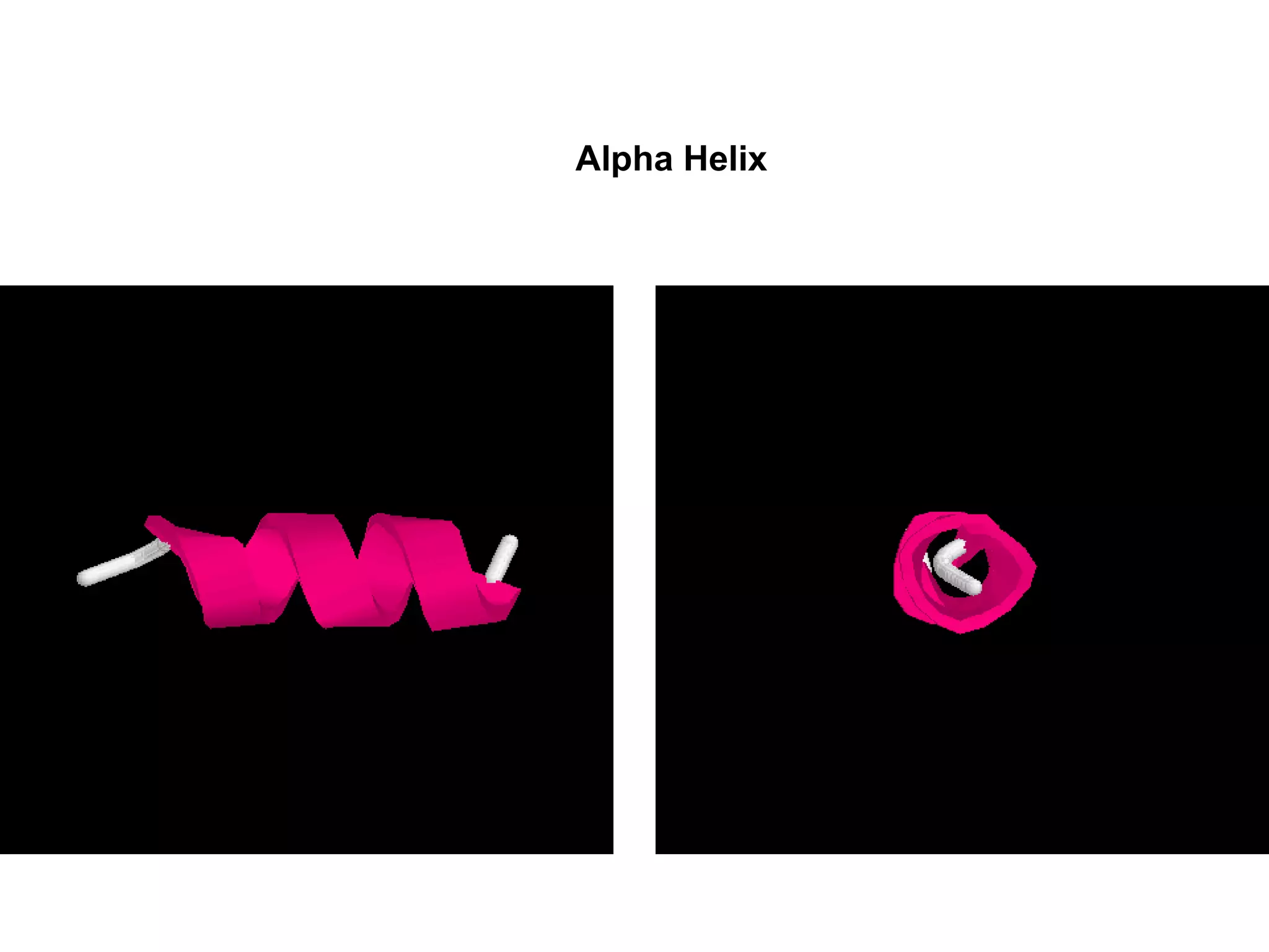 Alpha Helix
 