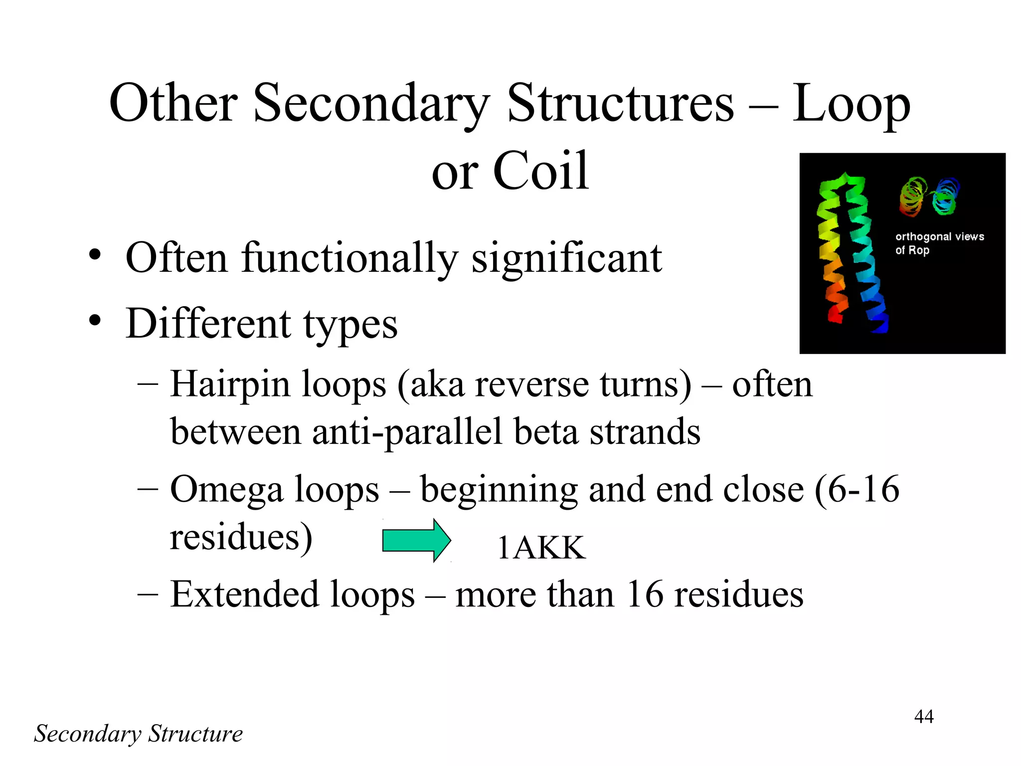 44
Other Secondary Structures – Loop
or Coil
• Often functionally significant
• Different types
– Hairpin loops (aka reverse turns) – often
between anti-parallel beta strands
– Omega loops – beginning and end close (6-16
residues)
– Extended loops – more than 16 residues
Secondary Structure
1AKK
 