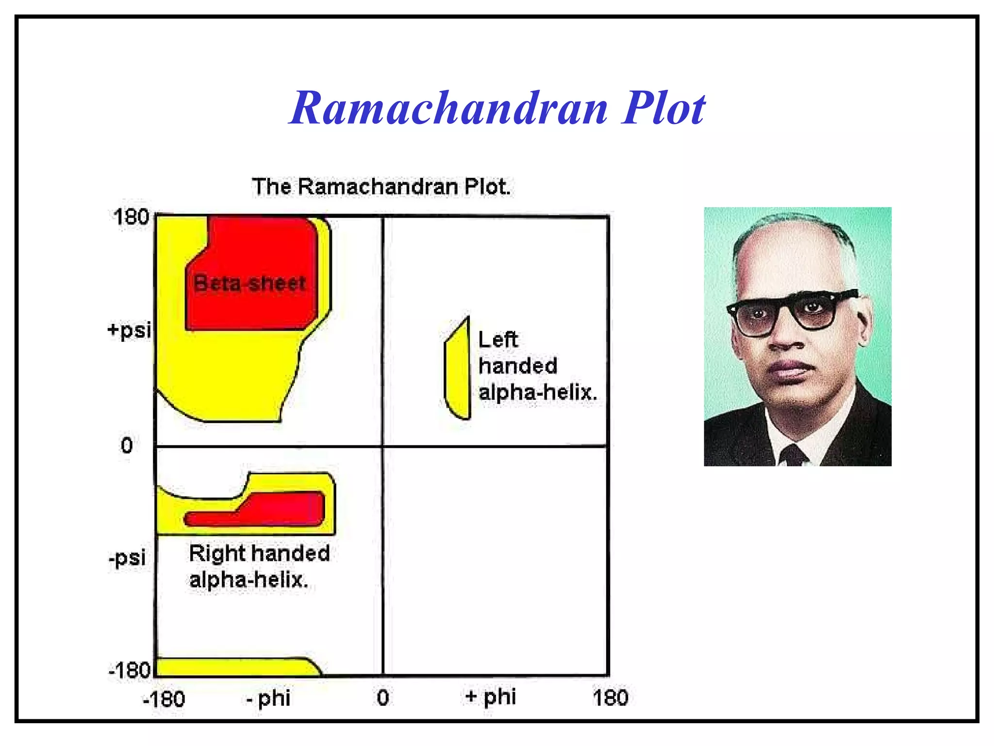 Ramachandran Plot
 