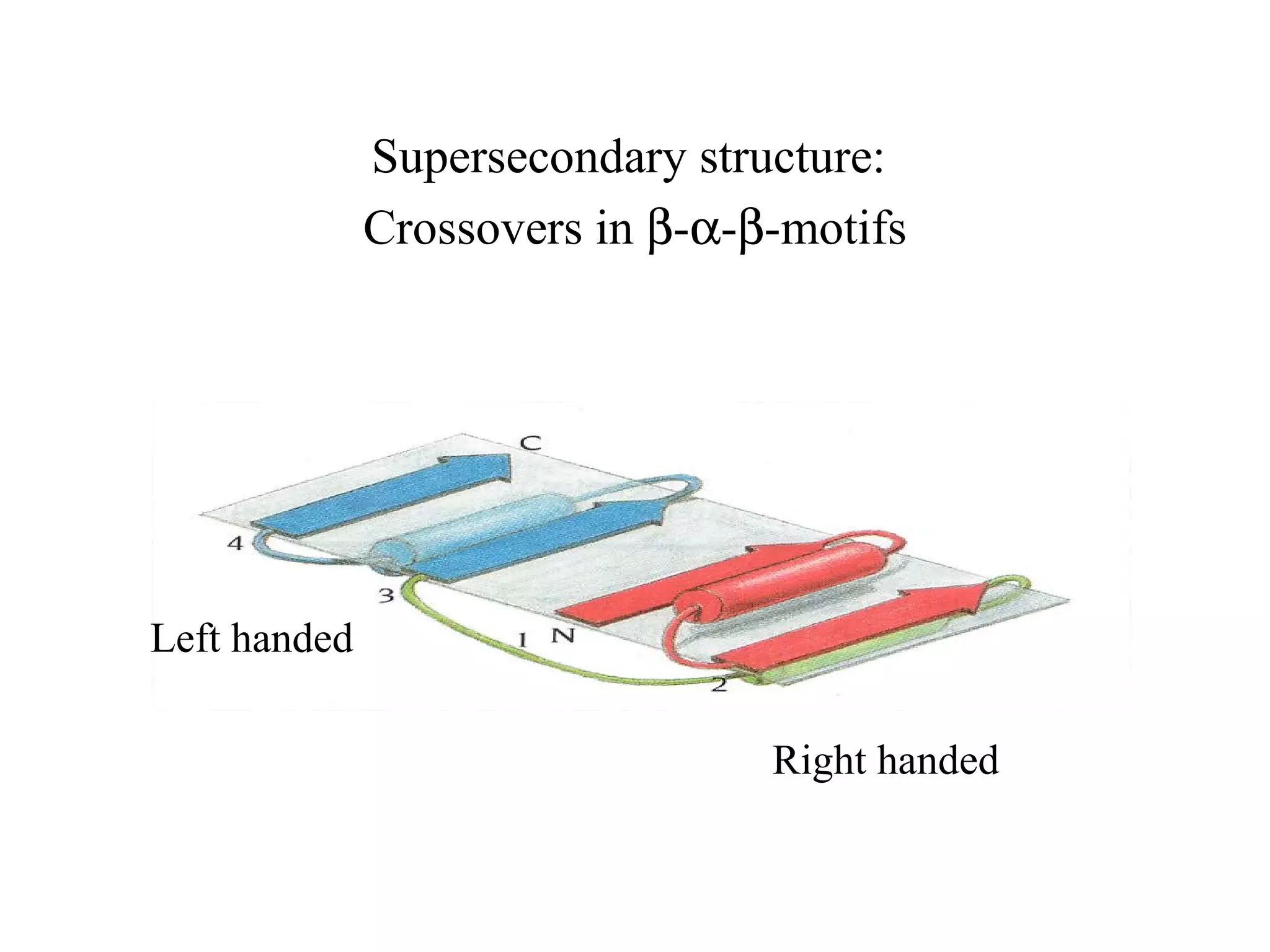 Supersecondary structure:
Crossovers in β-α-β-motifs
Right handed
Left handed
 