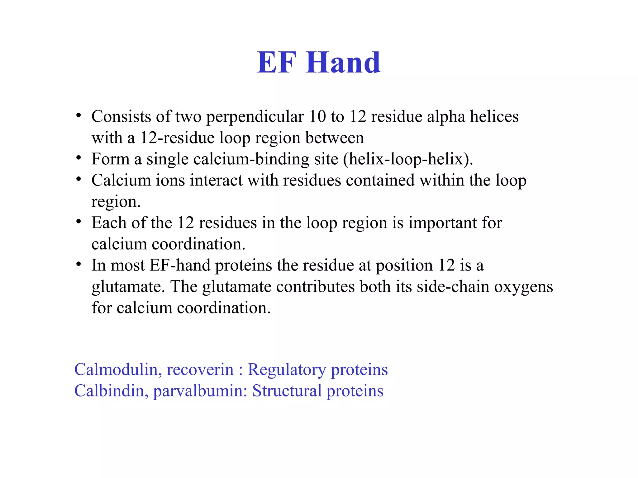 • Consists of two perpendicular 10 to 12 residue alpha helices
with a 12-residue loop region between
• Form a single calcium-binding site (helix-loop-helix).
• Calcium ions interact with residues contained within the loop
region.
• Each of the 12 residues in the loop region is important for
calcium coordination.
• In most EF-hand proteins the residue at position 12 is a
glutamate. The glutamate contributes both its side-chain oxygens
for calcium coordination.
EF Hand
Calmodulin, recoverin : Regulatory proteins
Calbindin, parvalbumin: Structural proteins
 