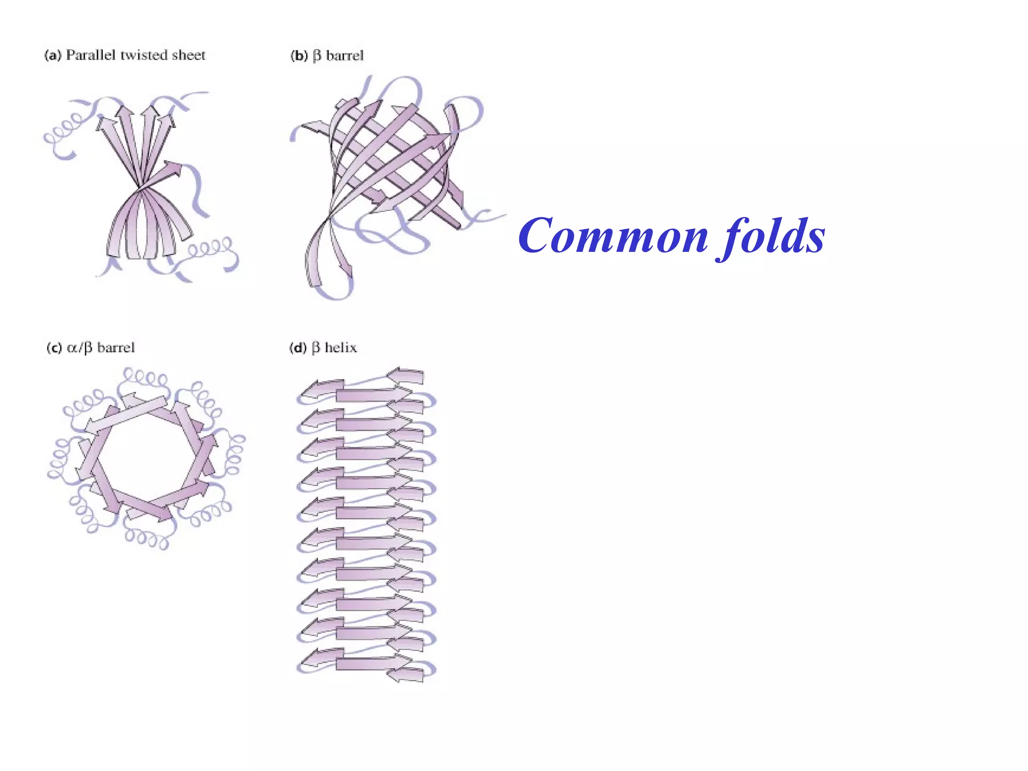 Common folds
 