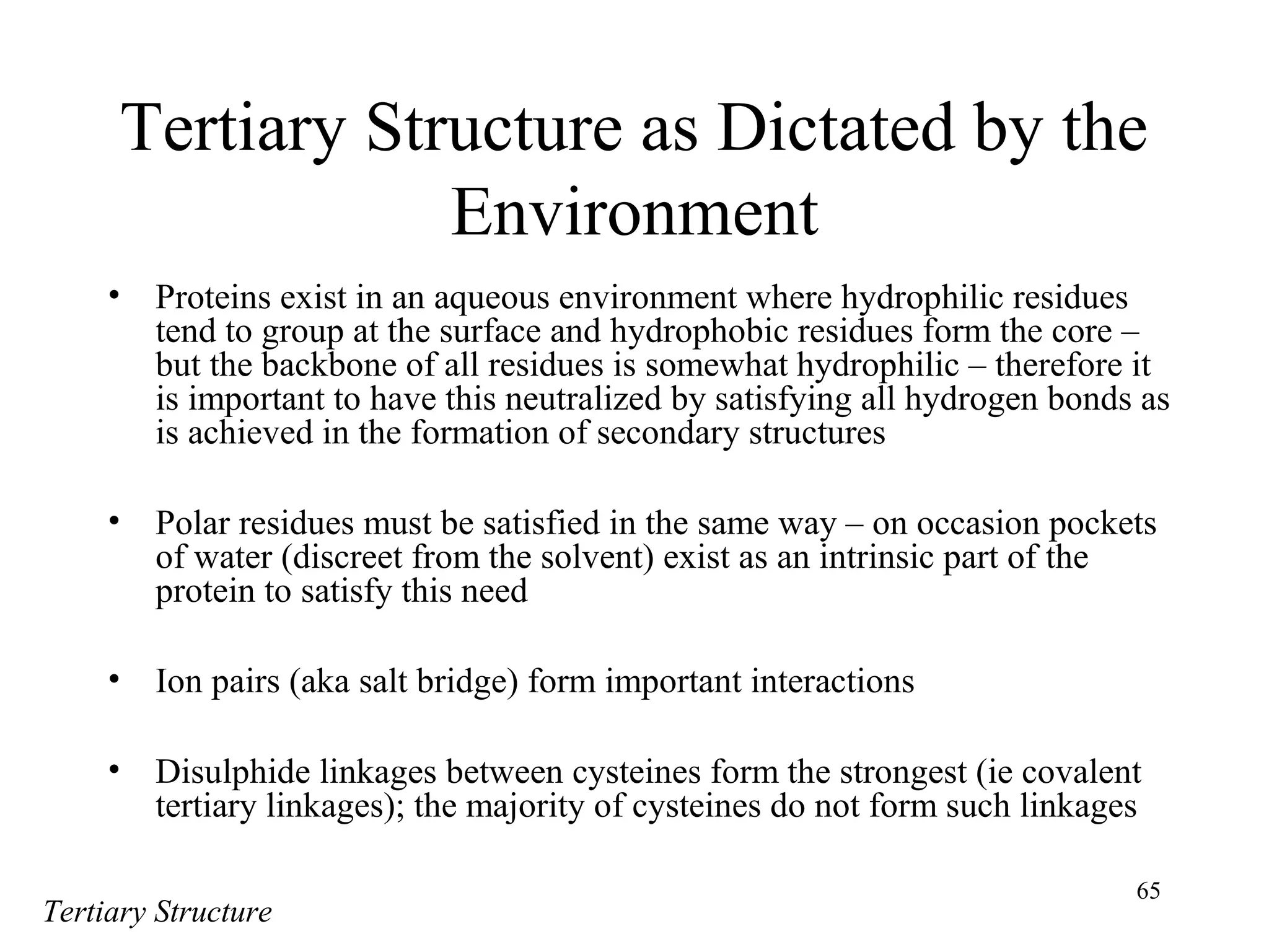 65
Tertiary Structure as Dictated by the
Environment
• Proteins exist in an aqueous environment where hydrophilic residues
tend to group at the surface and hydrophobic residues form the core –
but the backbone of all residues is somewhat hydrophilic – therefore it
is important to have this neutralized by satisfying all hydrogen bonds as
is achieved in the formation of secondary structures
• Polar residues must be satisfied in the same way – on occasion pockets
of water (discreet from the solvent) exist as an intrinsic part of the
protein to satisfy this need
• Ion pairs (aka salt bridge) form important interactions
• Disulphide linkages between cysteines form the strongest (ie covalent
tertiary linkages); the majority of cysteines do not form such linkages
Tertiary Structure
 