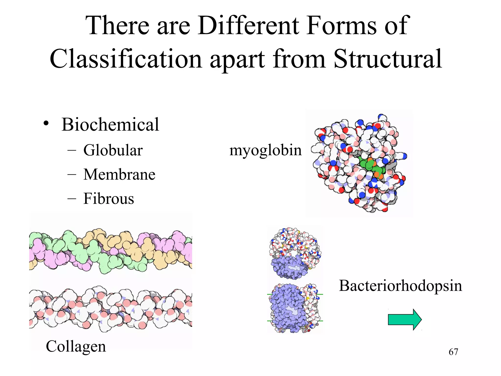 67
There are Different Forms of
Classification apart from Structural
• Biochemical
– Globular
– Membrane
– Fibrous
myoglobin
Collagen
Bacteriorhodopsin
 