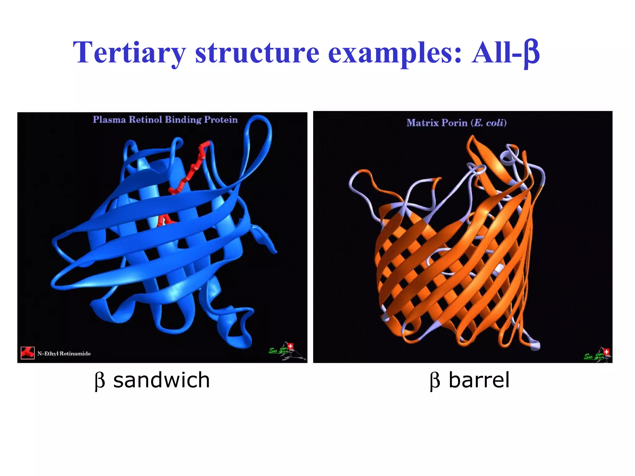 Tertiary structure examples: All-β
β sandwich β barrel
 