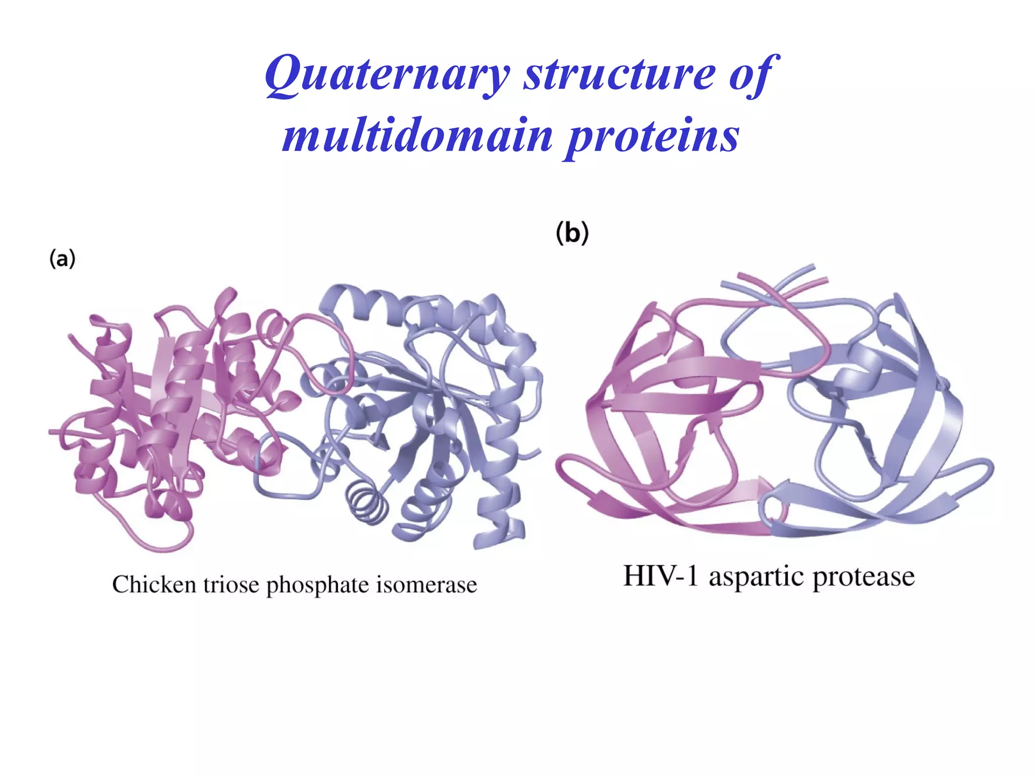 Quaternary structure of
multidomain proteins
 