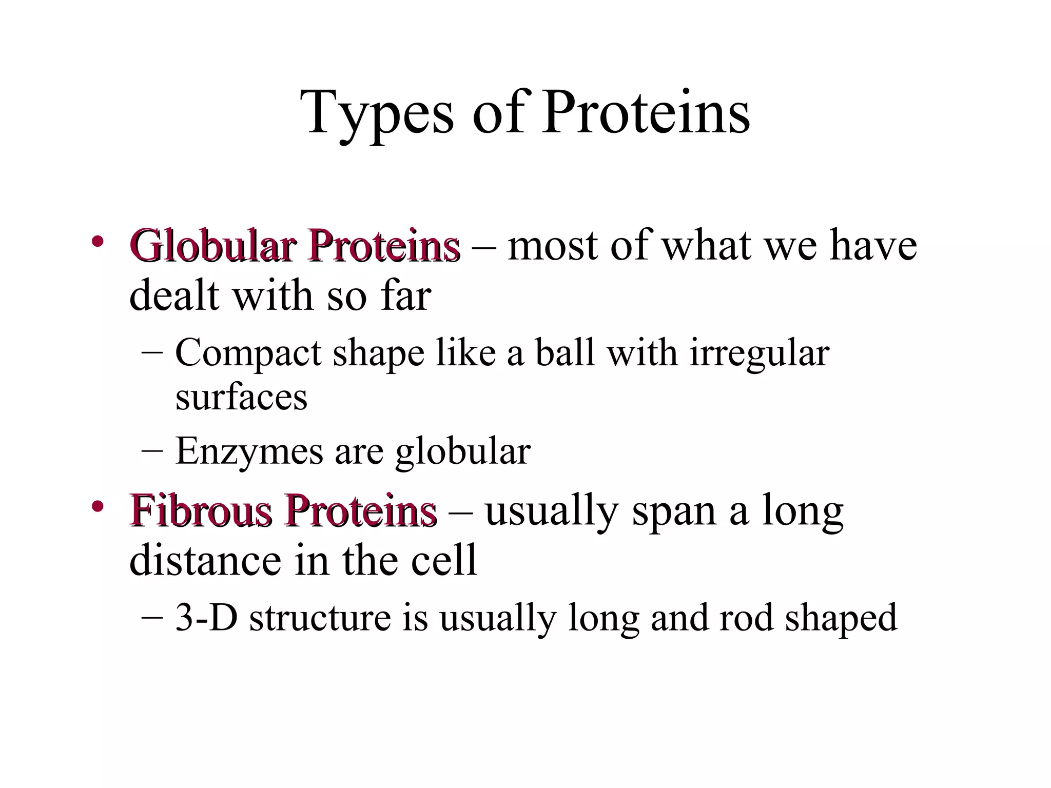 Types of Proteins
• Globular ProteinsGlobular Proteins – most of what we have
dealt with so far
– Compact shape like a ball with irregular
surfaces
– Enzymes are globular
• Fibrous ProteinsFibrous Proteins – usually span a long
distance in the cell
– 3-D structure is usually long and rod shaped
 