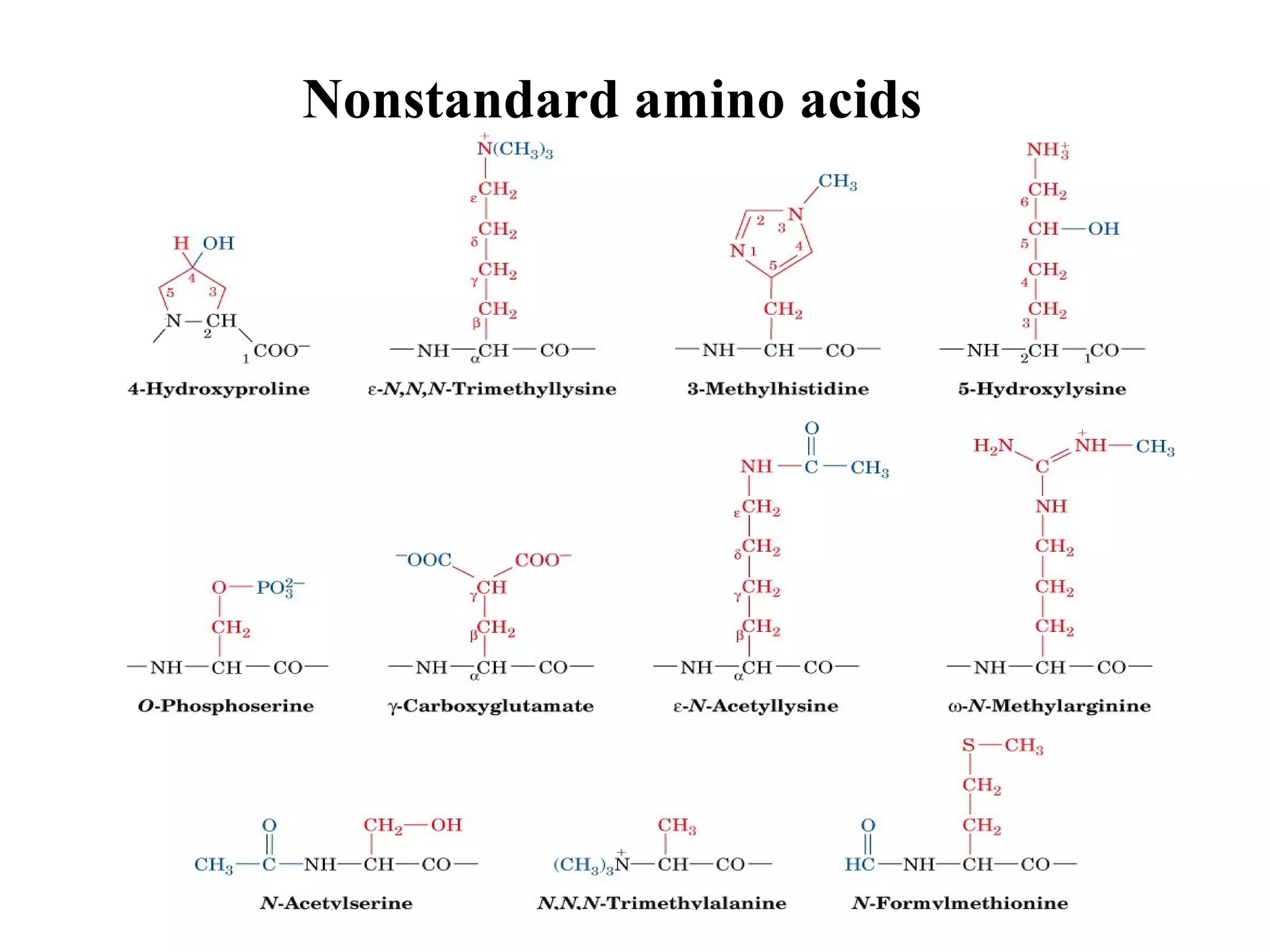 Nonstandard amino acids
 