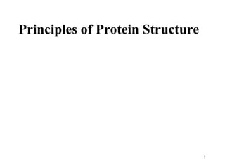 1
Principles of Protein Structure
 