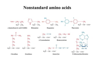 Nonstandard amino acids
 