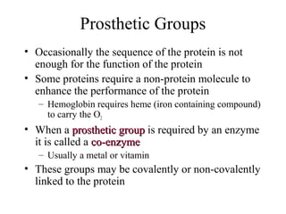 Prosthetic Groups
• Occasionally the sequence of the protein is not
enough for the function of the protein
• Some proteins require a non-protein molecule to
enhance the performance of the protein
– Hemoglobin requires heme (iron containing compound)
to carry the O2
• When a prosthetic groupprosthetic group is required by an enzyme
it is called a co-enzymeco-enzyme
– Usually a metal or vitamin
• These groups may be covalently or non-covalently
linked to the protein
 