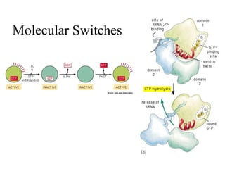 Molecular Switches
 
