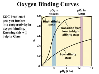 Oxygen Binding Curves
EOC Problem 6
gets you further
into cooperativity in
oxygen binding.
Knowing this will
help in Class.
 