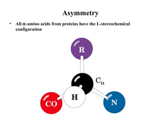 Asymmetry
• All α-amino acids from proteins have the L-stereochemical
configuration
 