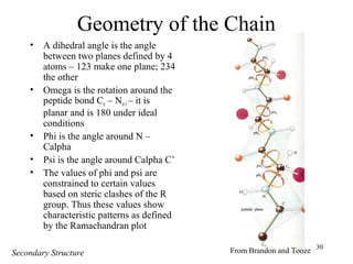 30
Geometry of the Chain
• A dihedral angle is the angle
between two planes defined by 4
atoms – 123 make one plane; 234
the other
• Omega is the rotation around the
peptide bond Cn – Nn+1– it is
planar and is 180 under ideal
conditions
• Phi is the angle around N –
Calpha
• Psi is the angle around Calpha C’
• The values of phi and psi are
constrained to certain values
based on steric clashes of the R
group. Thus these values show
characteristic patterns as defined
by the Ramachandran plot
From Brandon and ToozeSecondary Structure
 