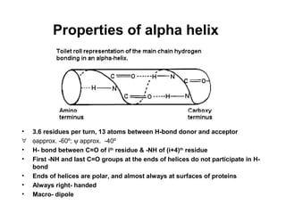 Properties of alpha helix
• 3.6 residues per turn, 13 atoms between H-bond donor and acceptor
∀ φapprox. -60º; ψ approx. -40º
• H- bond between C=O of ith
residue & -NH of (i+4)th
residue
• First -NH and last C=O groups at the ends of helices do not participate in H-
bond
• Ends of helices are polar, and almost always at surfaces of proteins
• Always right- handed
• Macro- dipole
 